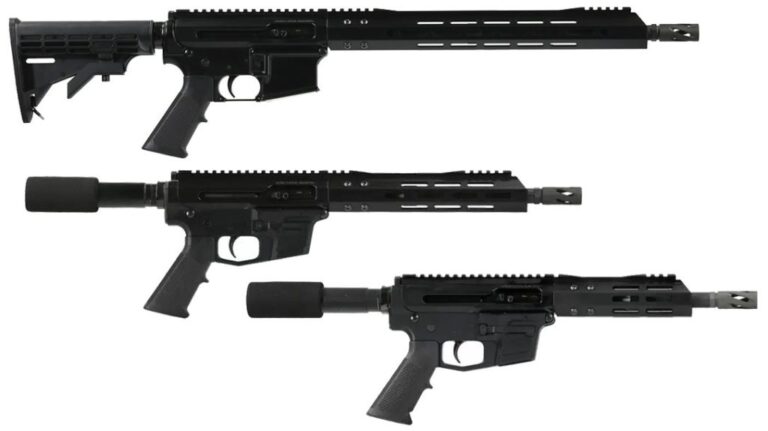 Bear Creek Arsenal Pistol Caliber Carbines in .45 ACP and 10mm   By: Personal Defense World