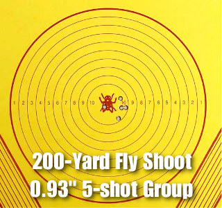 Great .22 LR Rimfire Accuracy at 200 yards — Australia Fly Shoot