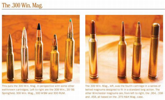 Cartridges of the World Resource Covers 1500 Cartridge Types