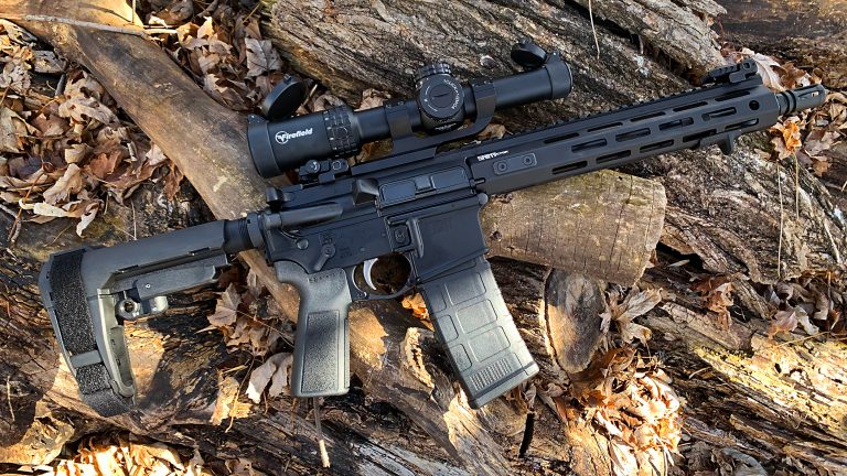 Firefield RAPIDSTRIKE 1-10 Review. A Sub $200 LPVO