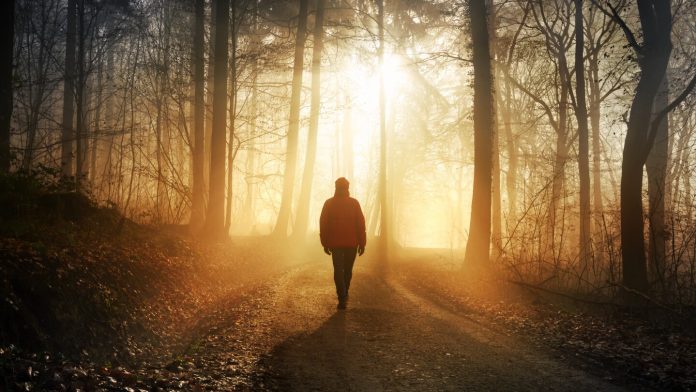 Suicide in law enforcement: Why police leaders must confront myths and change culture