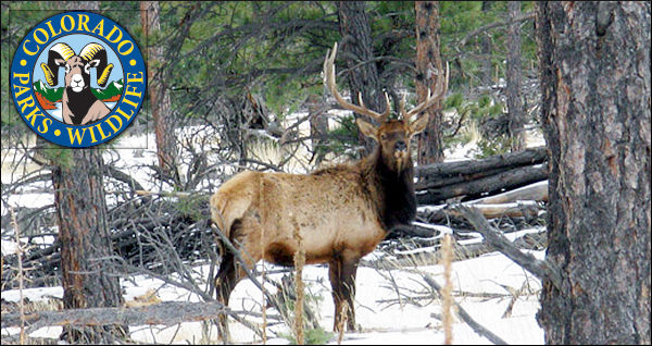 Hunting Safety Checklist — Prepare for Fall Hunting Season