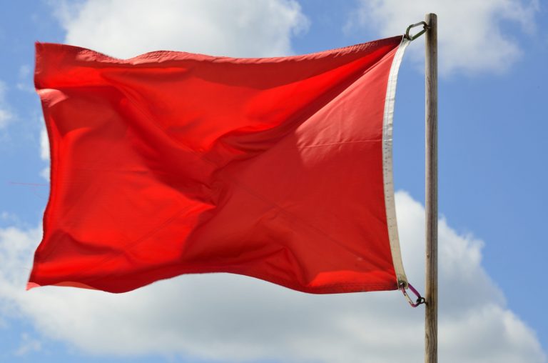 MI: Repeal Michigan’s Red Flag Law   By: August Shettler