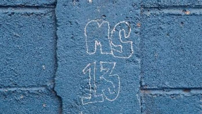 What every young cop gets wrong about gangs