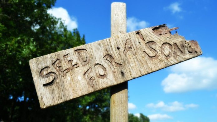 Planning to Barter – Good Idea or No?