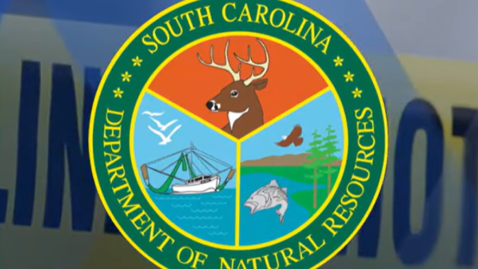 S.C. natural resources officer uninjured in targeted shooting despite barrage of gunfire, suspect at large