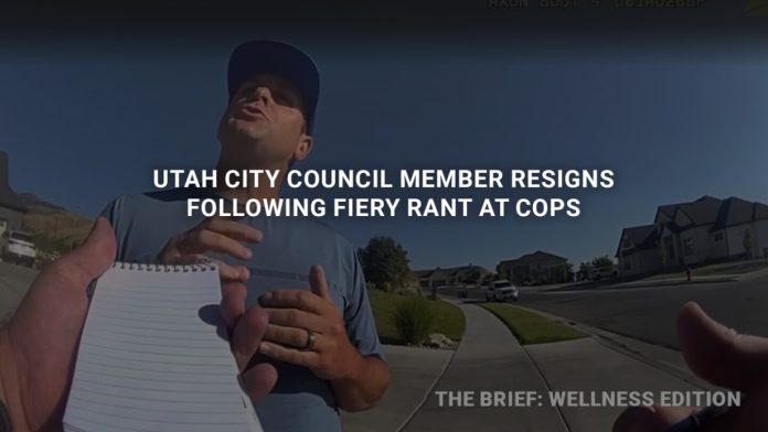 How to calmly respond to an angry elected official