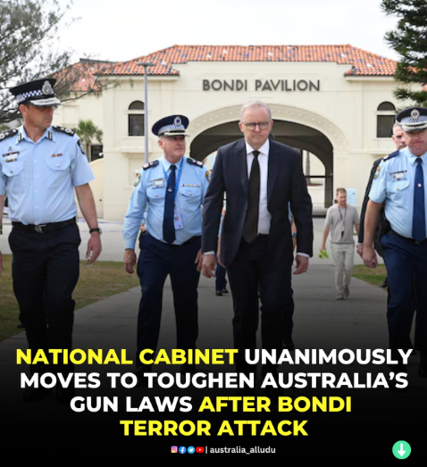 Australia Moves to Tighten Gun Laws After Terror Attack & What That Signals to Us