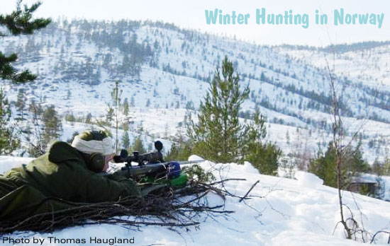 Ten Cool Tips for Winter Shooting and Hunting