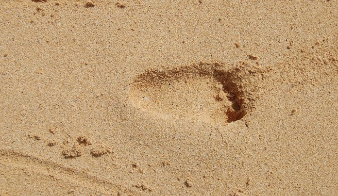 Baby Steps – How to Get Started Prepping