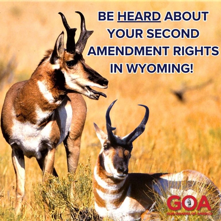 WY: Critical Time for Second Amendment Bills in the Wyoming Senate – Please Act   By: Rebecca Jones