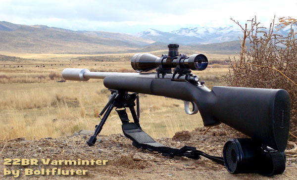 Sunday Gunday: 22 Creedmoor — Cartridge Specs and Rifle Test