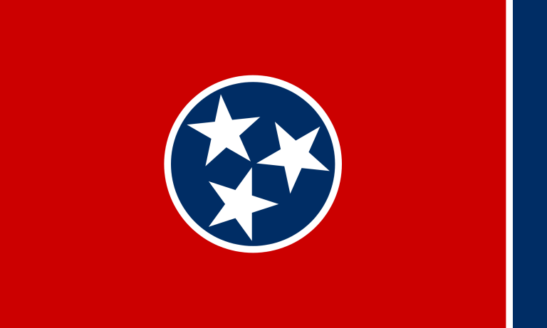 TN: HB 1971 Would Block Challenges to Unconstitutional Gun Laws – TAKE ACTION   By: Grant Balzer