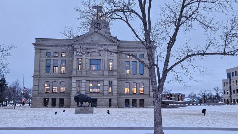 WY: Historic Wyoming Gun Bills on the Move – Please Contact Your Senators!   By: Rebecca Jones